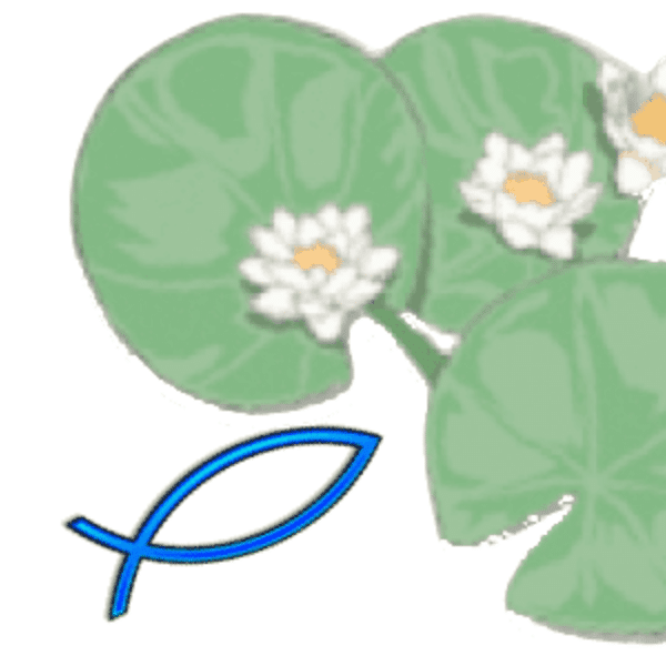 Lilypad_Childcare_Logo